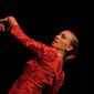 Al Andalus - Flamenco - © Thomas Heinzinger Al Andalus - Flamenco - © Thomas Heinzinger