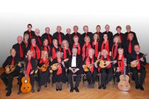 Neues Favoritner Mandolinenorchester -  &copy; Günter Mühlbauer