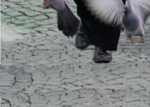 FlugPunkt -  &copy; Archiv Theater Akzent