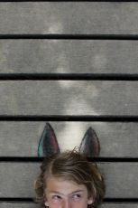 Die besseren Wälder - © Daniel Karanitsch Die besseren Wälder - © Daniel Karanitsch